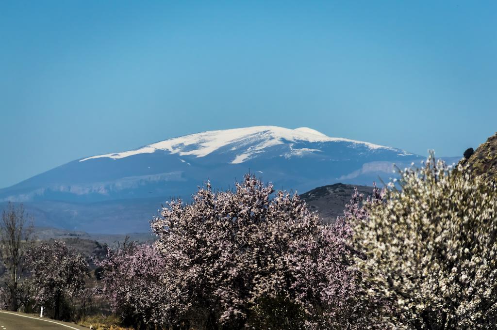 Casa Rural Los Lilos Gotor Chambre photo